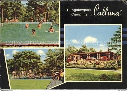 Ommen Overijssel Bungalowpark Camping Calluna