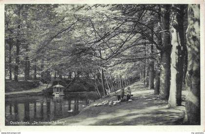 Oosterbeek Renkum Gelderland NL De Hermelsche Berg