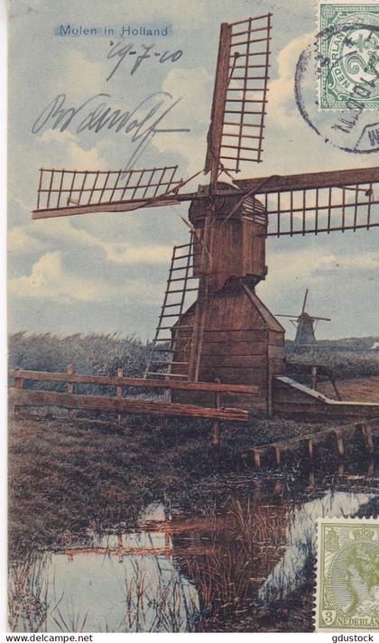 Pays-Bas - olen in Holland