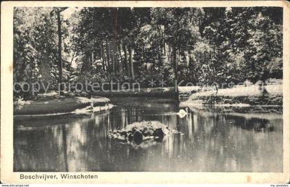 Winschoten Boschvijver Weiher