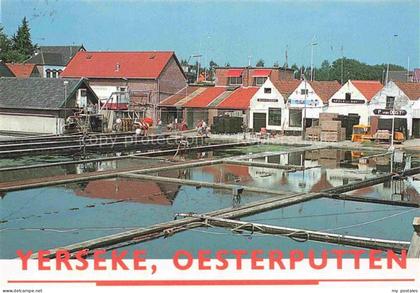 Yerseke Reimerswaal Zeeland NL Oesterputten