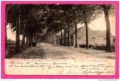 Bergen op Zoom - Straatweg naar Tholen - Animée - A.I.A. DE KOK - 1903