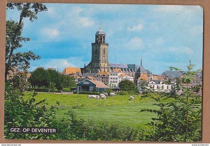 AC - GEZ OP DEVENTER NETHERLANDS CARTE POSTALE POST CARD