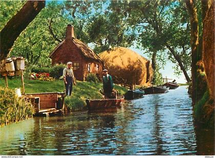 Carte Postale - Pays-Bas - Nederland - Giethoorn - Mooi Giethoorn - CPM - Voir Scans Recto-Verso - Poscard - Carta Posta