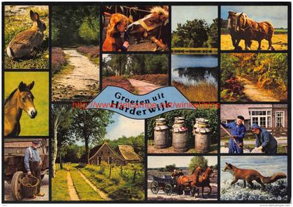 Groeten uit Â… - Harderwijk