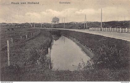 Nederland - HOEK VAN HOLLAND - Duinzicht