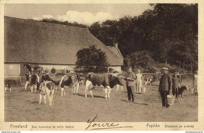 Netherlands, JOURE (?) Farm with Cows (1928) Postcard