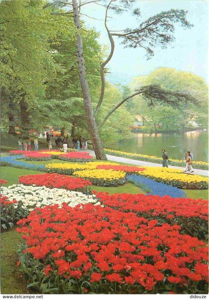 Carte Postale - Pays-Bas - Lisse - Keukenhof - Fleurs - Noord-Holland - CPM - Voir Scans Recto-Verso