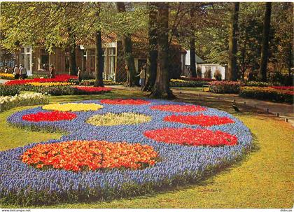 Carte Postale - Pays-Bas - Lisse - Keukenhof - Fleurs - Zuid-Holland - CPM - Voir Scans Recto-Verso