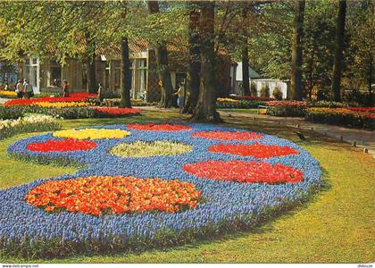 Carte Postale - Pays-Bas - Lisse - Keukenhof - Fleurs - Zuid-Holland - CPM - Voir Scans Recto-Verso