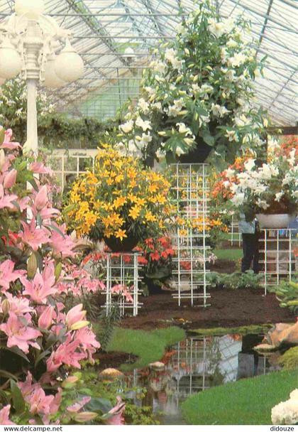 Carte Postale - Pays-Bas - Lisse - Keukenhof - Fleurs - Zuid-Holland - CPM - Voir Scans Recto-Verso