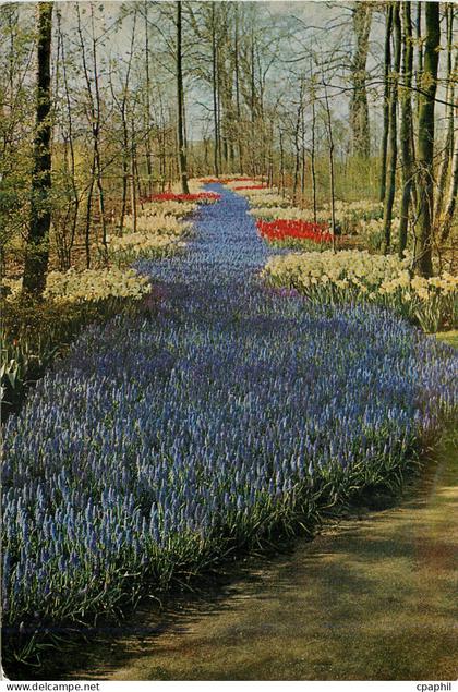 CPM Keukenhof Lisse Holland