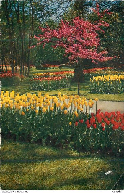 CPM Keukenhof Lisse Holland