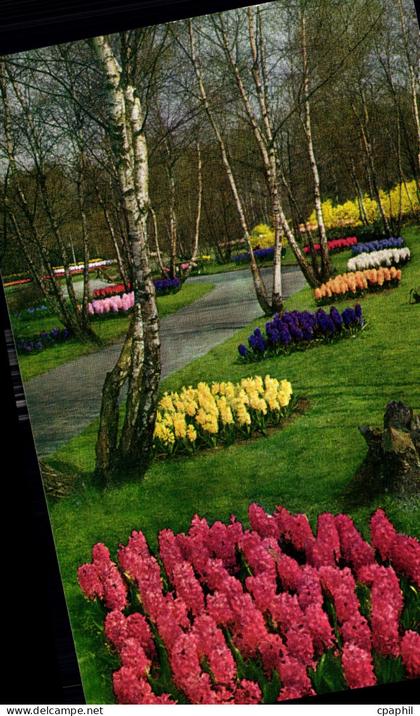 CPM Keukenhof Lisse Holland