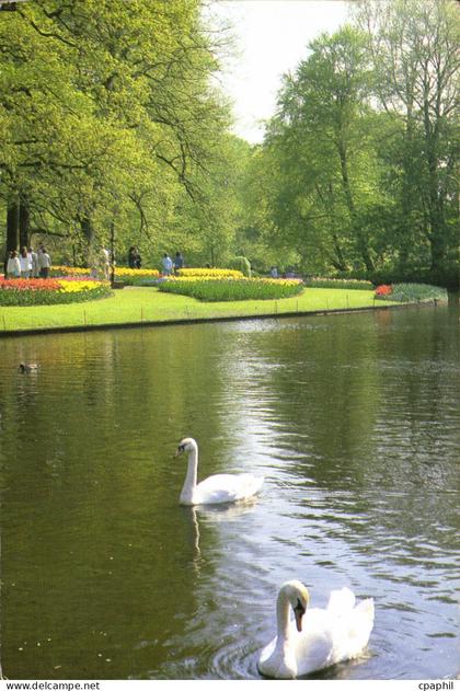 CPM Keukenhof Lisse Holland