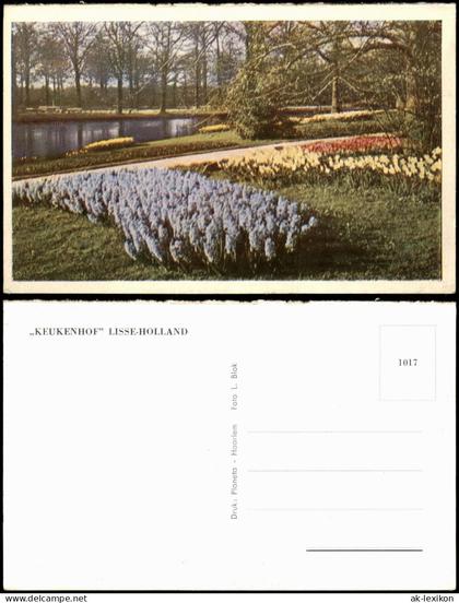 Postkaart Lisse Blumen Landschaft am KEUKENHOF LISSE-HOLLAND 1960