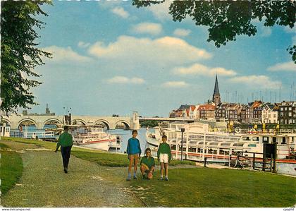 CPM Maastricht St Servaasbrug vanaf Stadspark