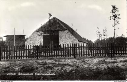 CPA Mierlo Geldrop Nordbrabant Niederlande, Schaapskooi, Strabrechtse heide