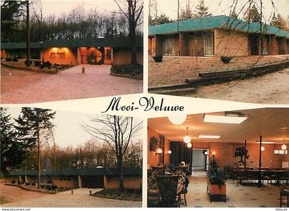 Pays-Bas - Nederland - Putten - Vakantiecentrum Mooi Veluwe - CPM - Voir Scans Recto-Verso