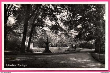 Schiedam - Plantage - Fontaine - Animée - HEMA - ECHTE FOTO N° 1039