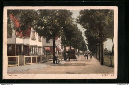 AK Veendam, Parklaan