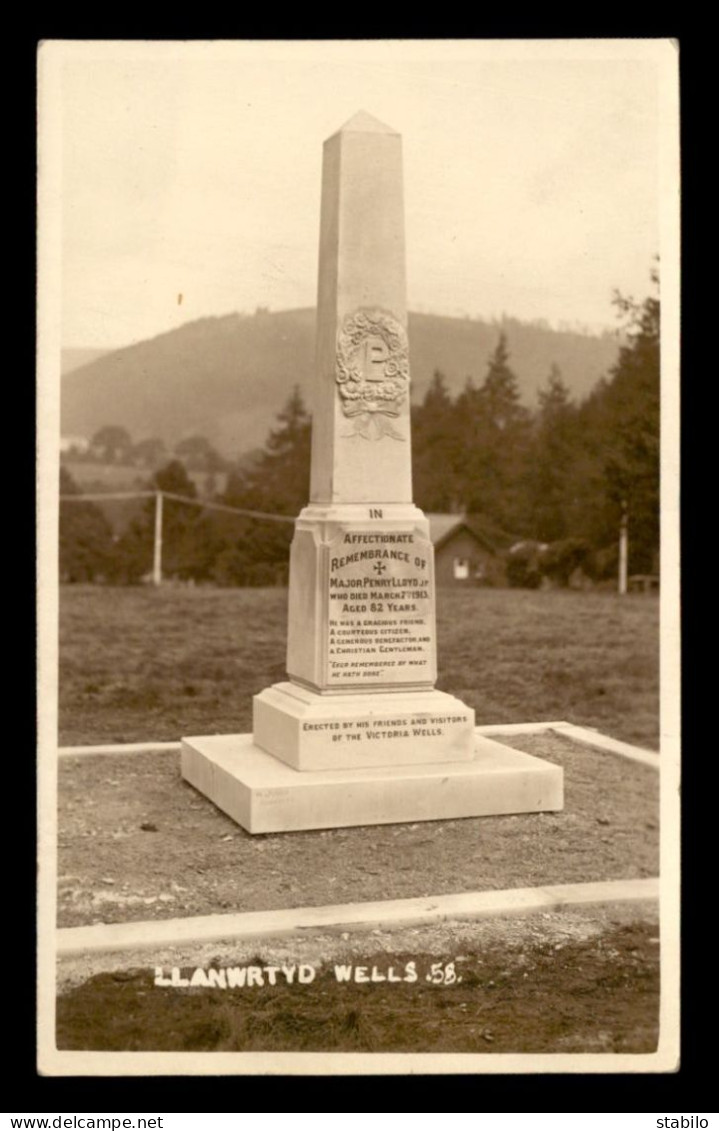 PAYS DE GALLE - BRECONSHIRE - LLANWRTYD WELLE 58