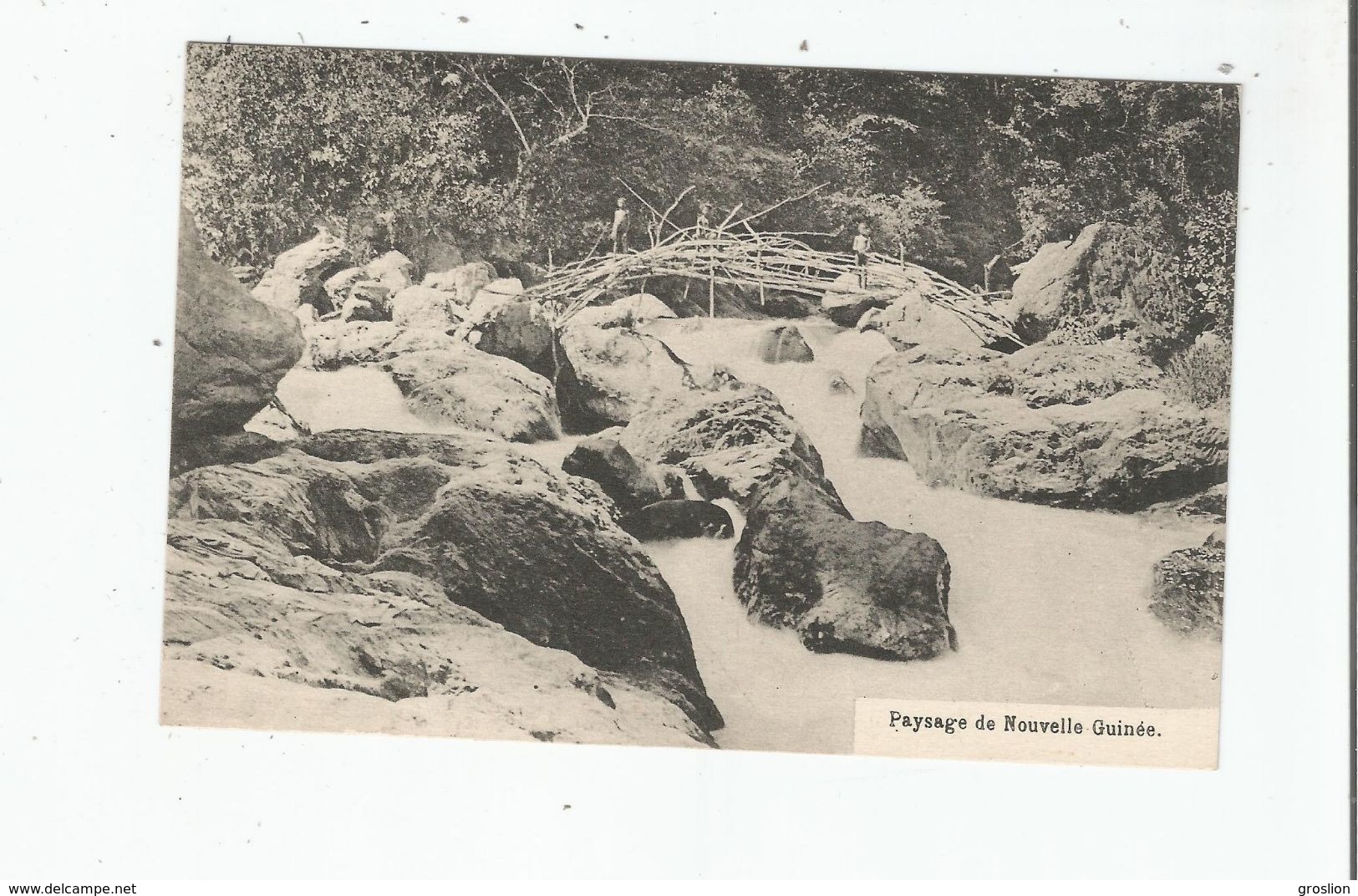 PAYSAGE DE NOUVELLE GUINEE