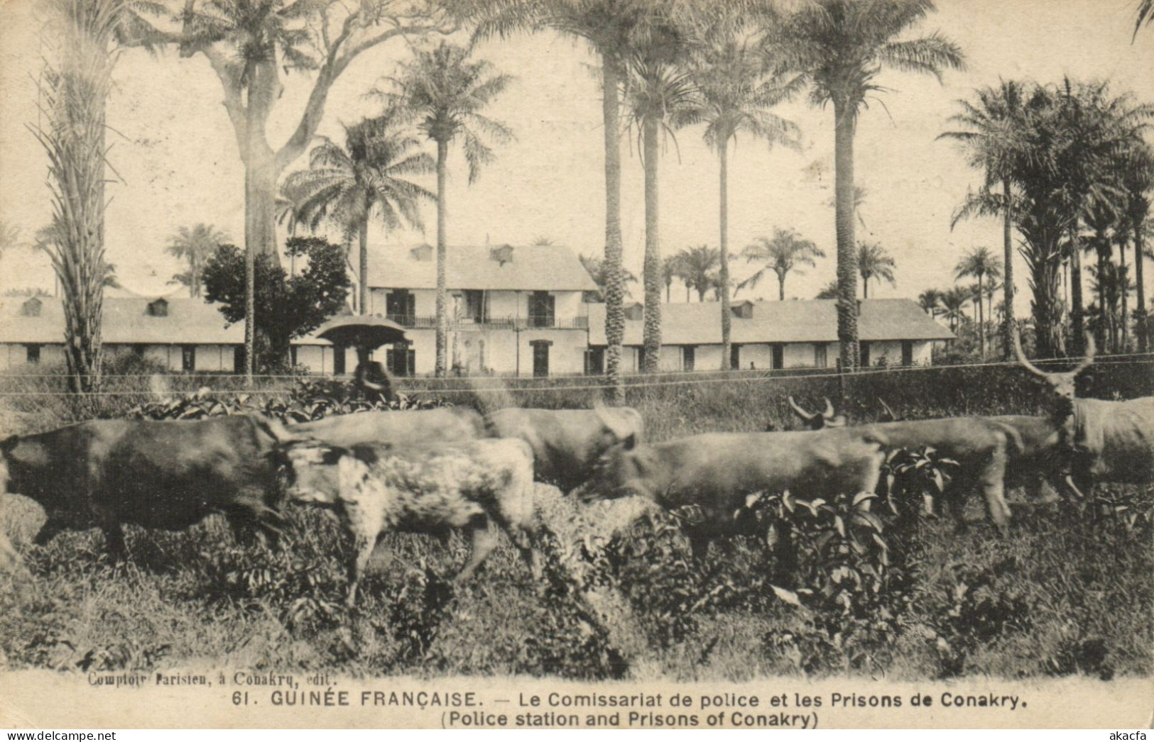 PC AFRICA GUINEA FRENCH GUINEA CONAKRY POLICE STATION PRISON (b63970)