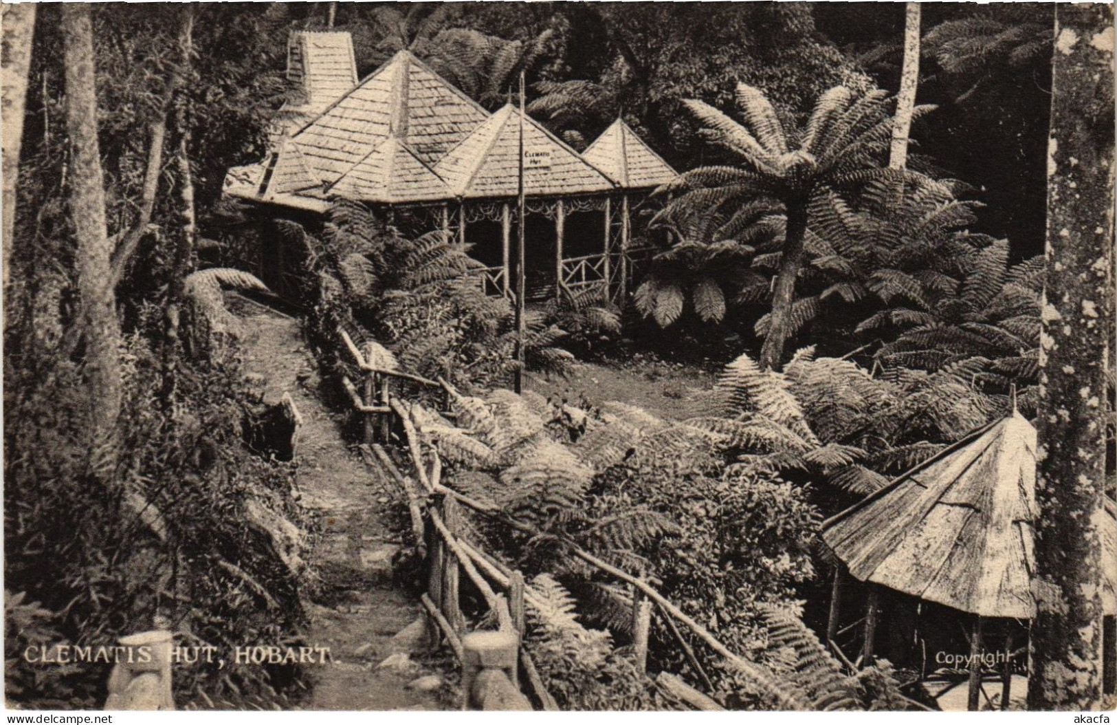 PC AUSTRALIA CLEMATIS HUT, HOBART (a78436)