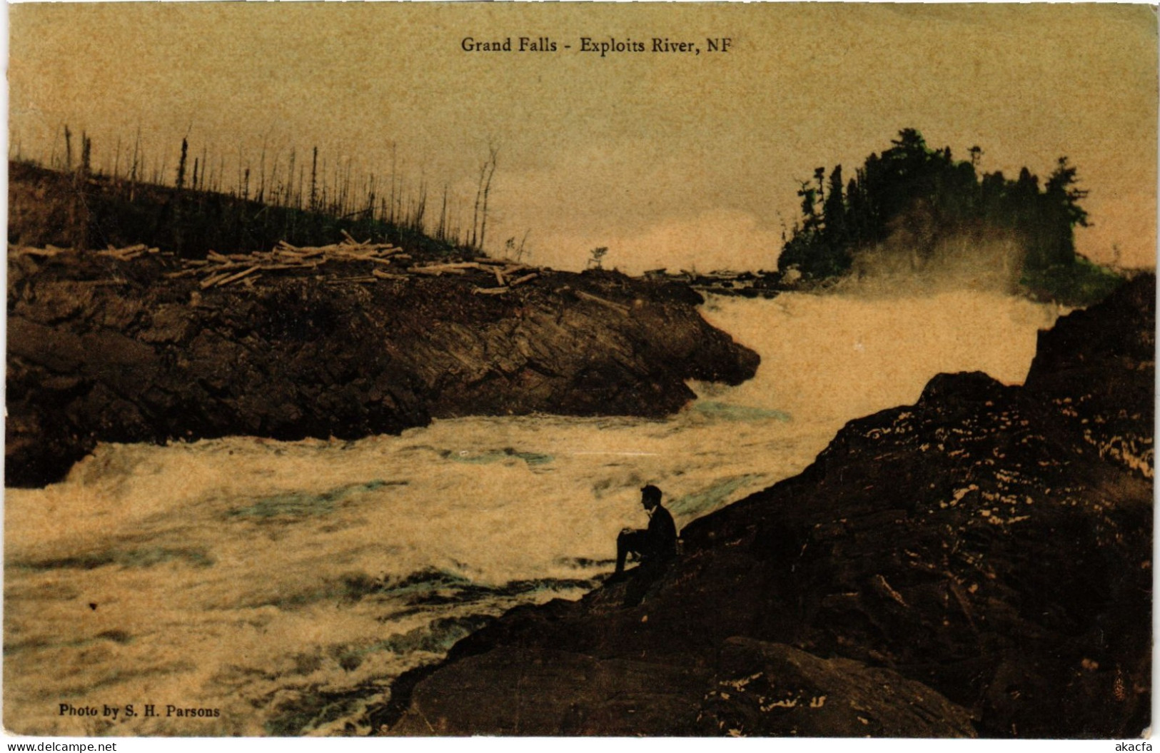 PC CANADA, NEWFOUNDLAND, GRAND FALLS, EXPLOITS RIVER, Vintage Postcard (b61401)