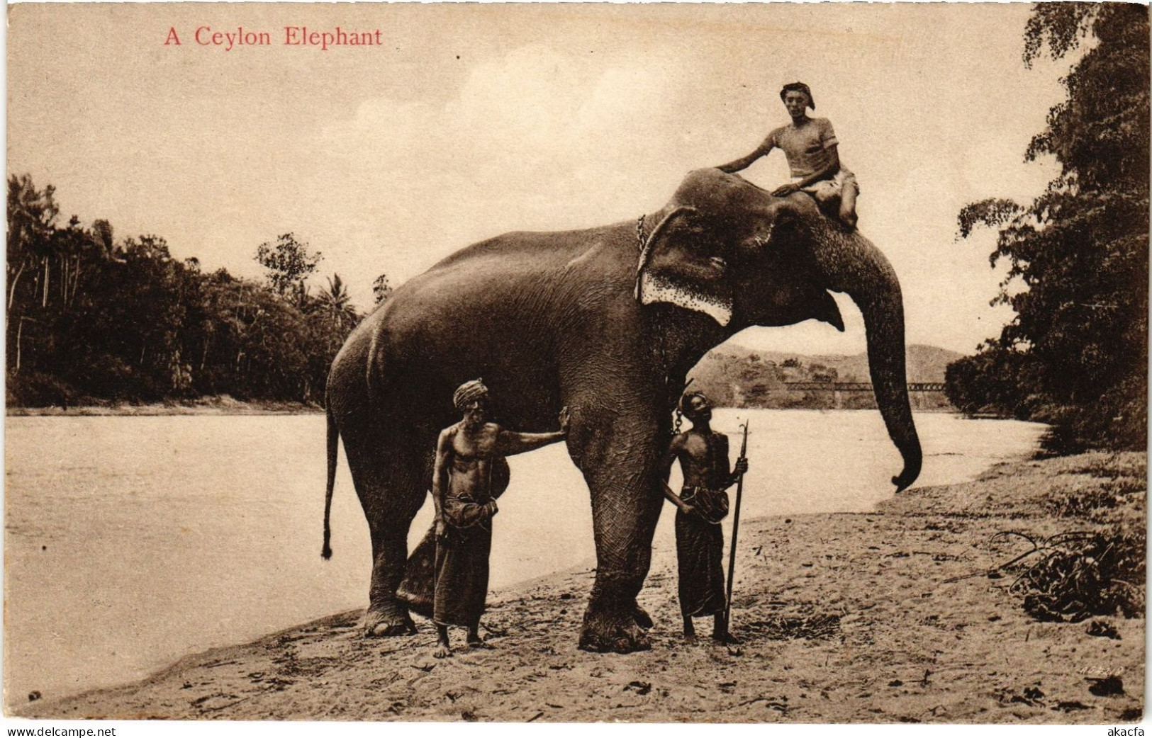 PC CEYLON SRI LANKA A CEYLON ELEPHANT (a75828)