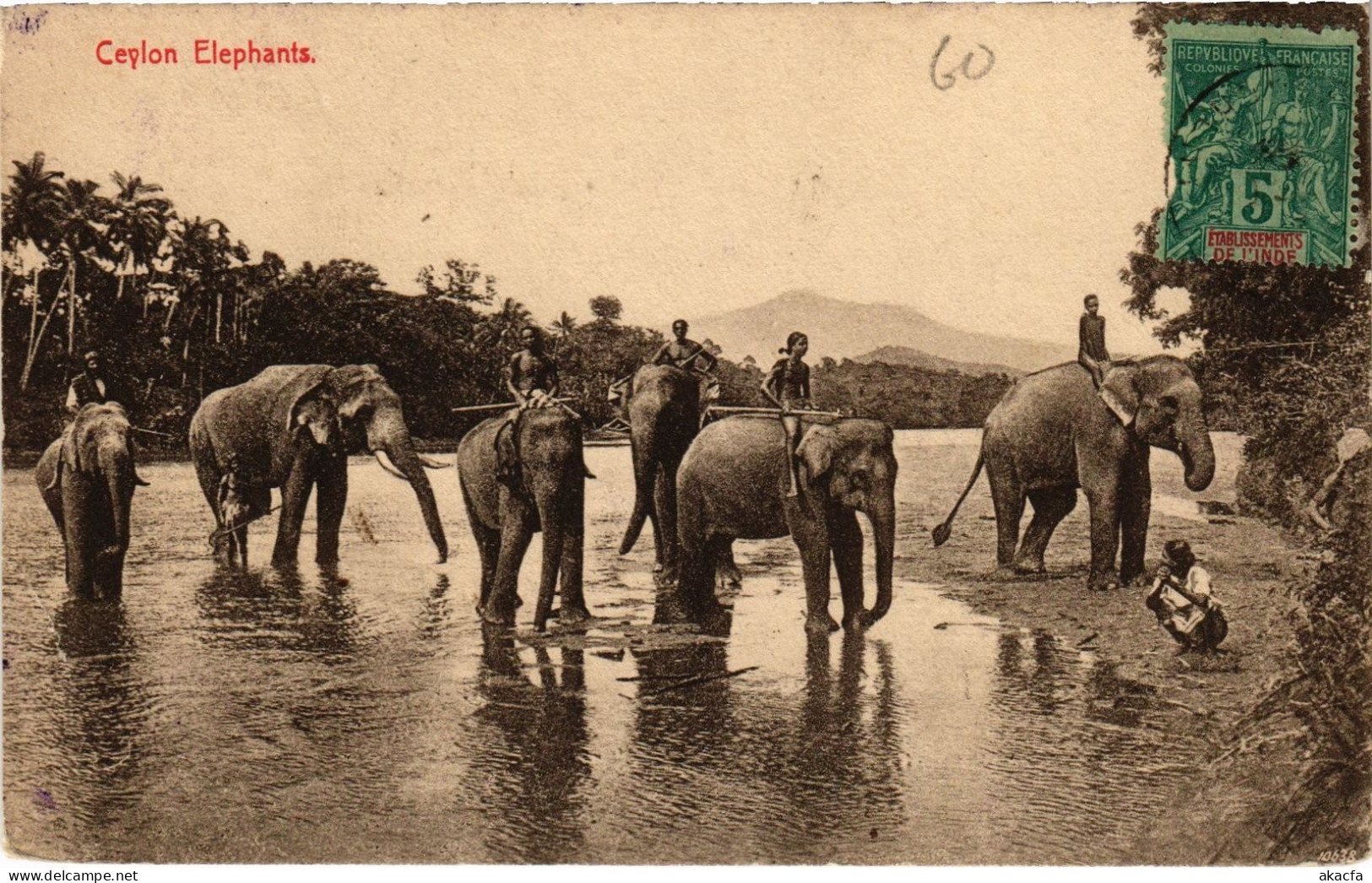 PC CEYLON SRI LANKA CEYLON ELEPHANTS (a75822)