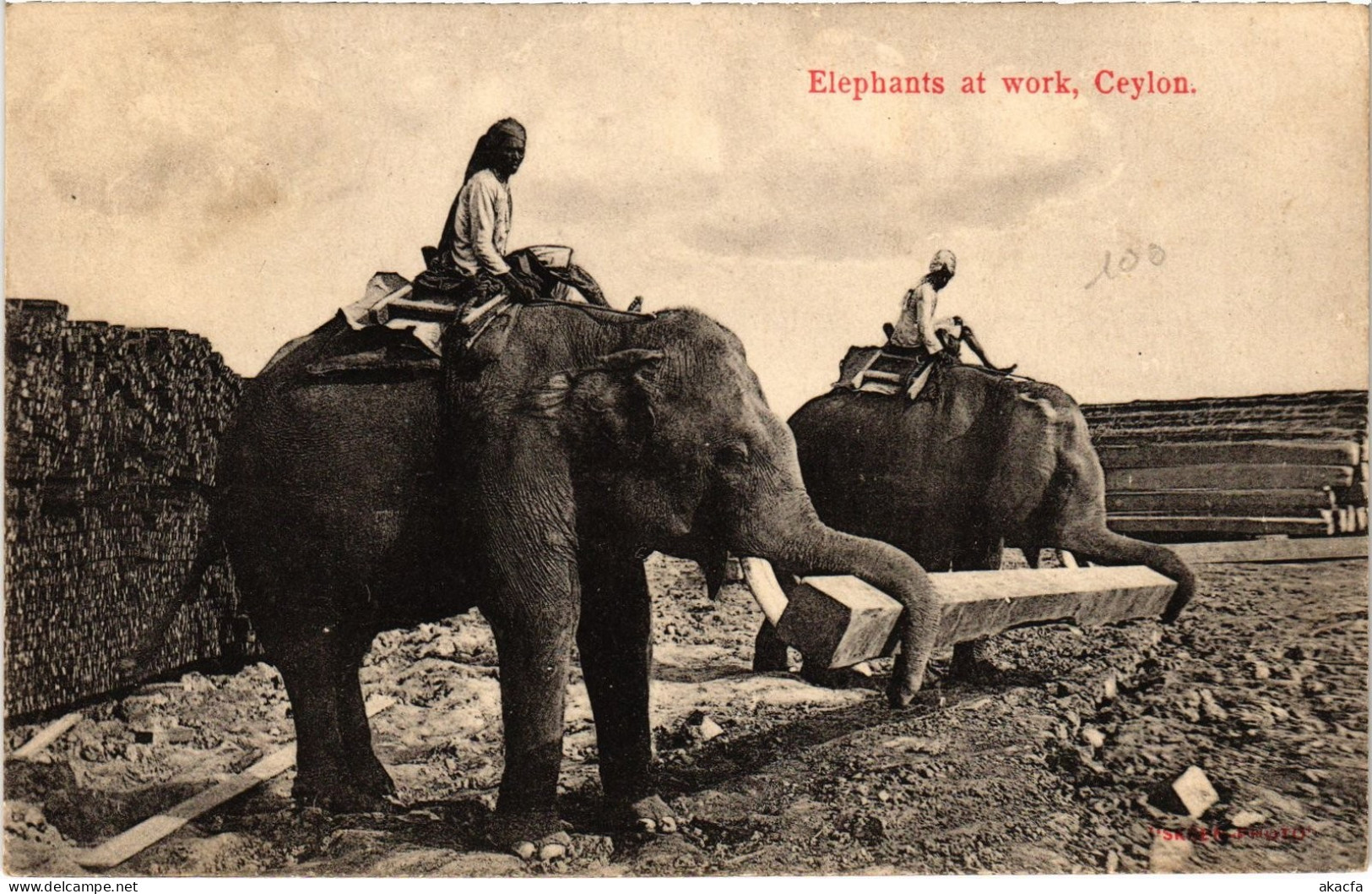 PC CEYLON SRI LANKA ELEPHANTS AT WORK, CEYLON (a75817)