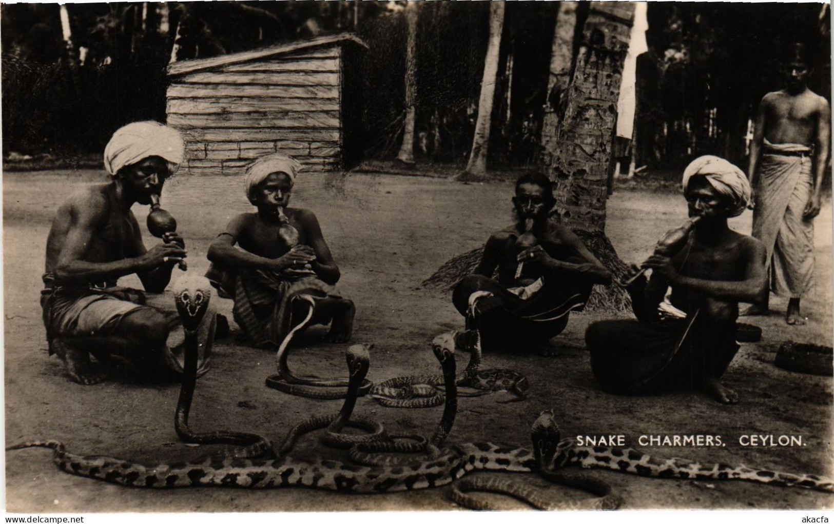 PC CEYLON SRI LANKA SNAKE CHARMERS, CEYLON (a75942)