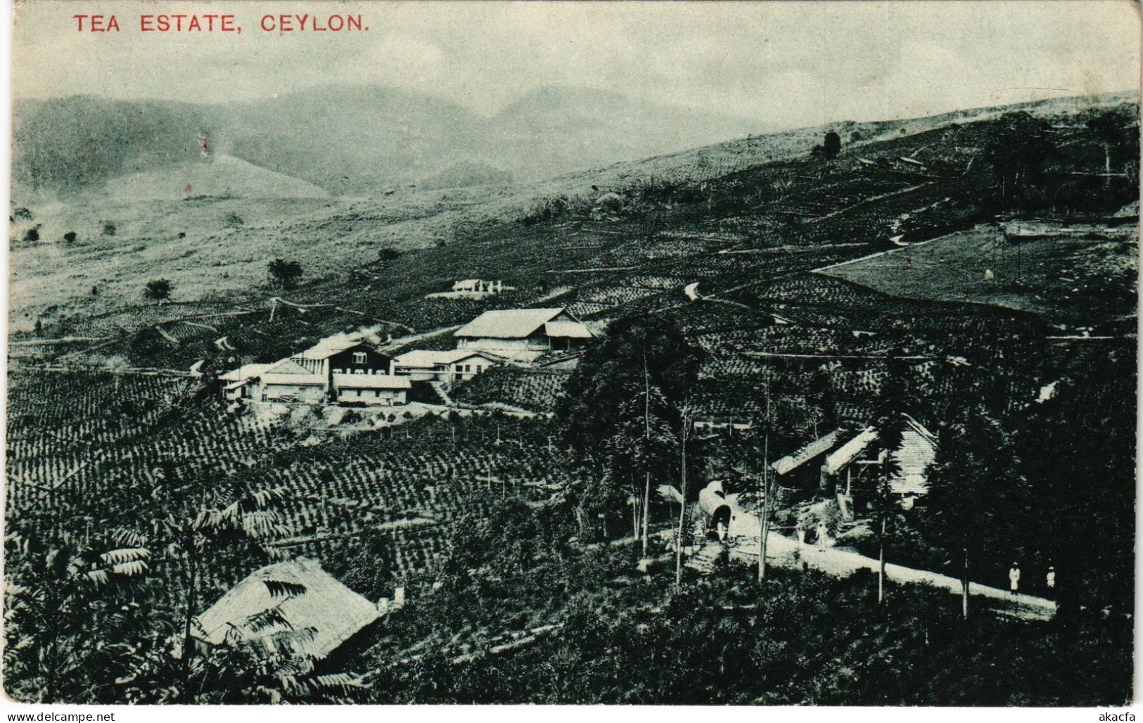 PC CEYLON SRI LANKA TEA ESTATE, CEYLON (a75848)