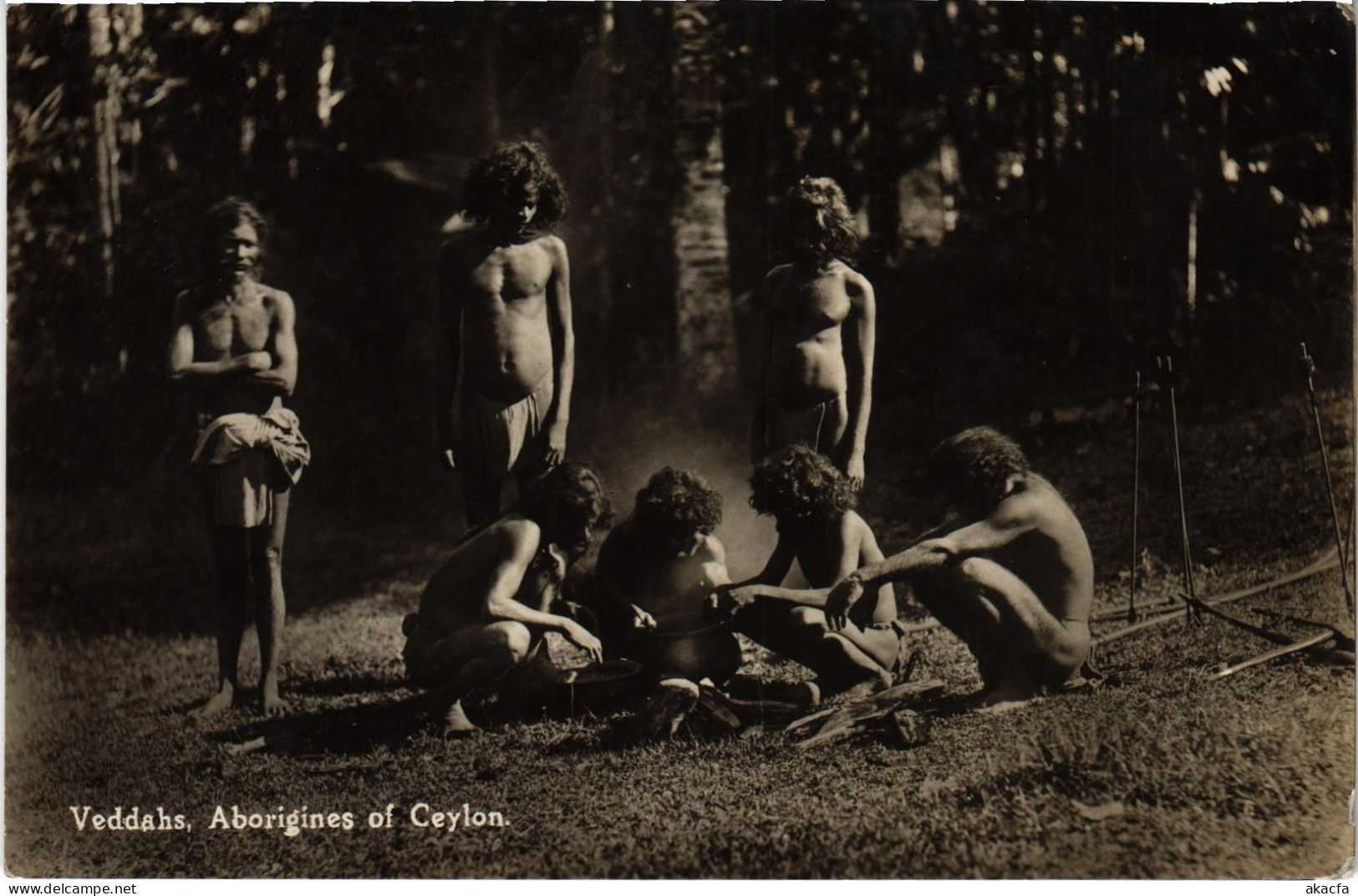 PC CEYLON SRI LANKA VEDDAHS ABORIGINES OF . REAL PHOTO POSTCARD (a82812)