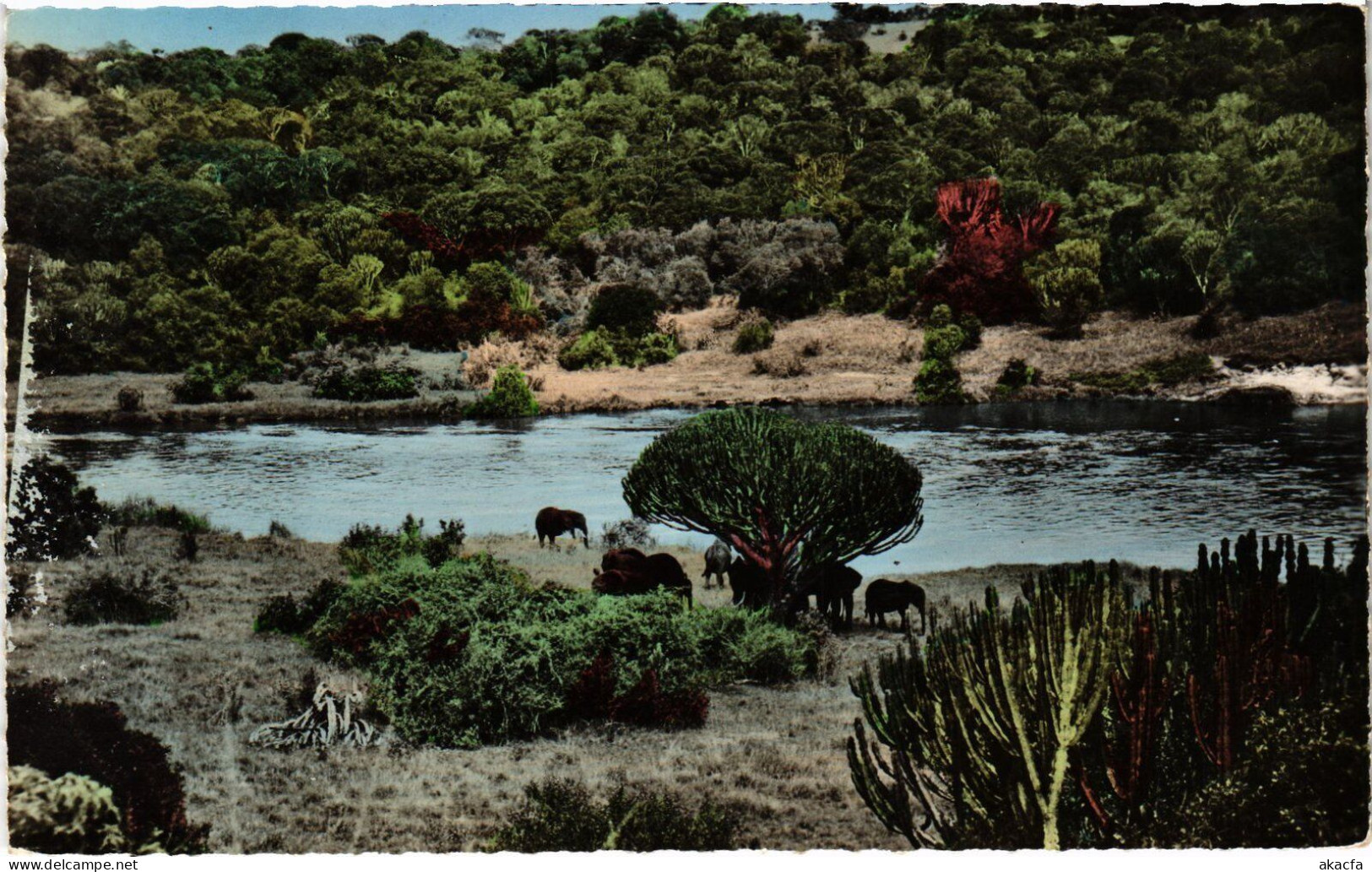 PC CHAD TCHAD DAUNE AFRICAINE ELEPHANTS (a53700)