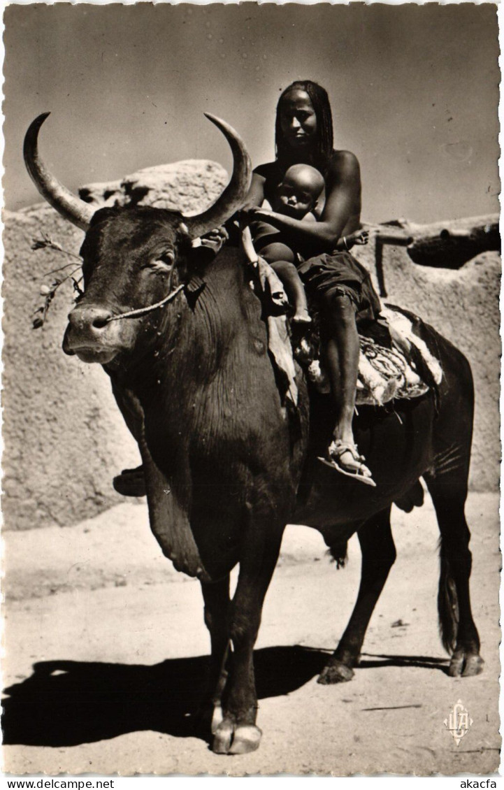 PC CHAD TCHAD FORT LAMY BOEUF PORTEUR ETHNIC TYPES (a53677)