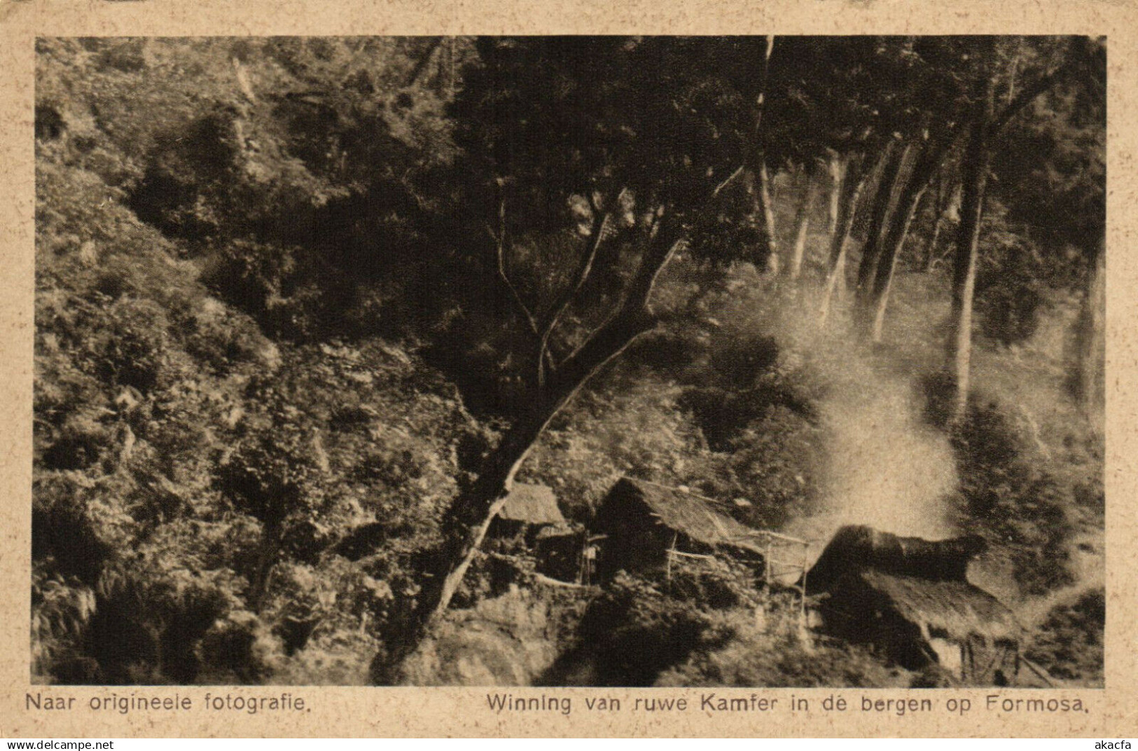 PC CHINA, KAMFER IN DE BERGEN OP FORMOSA, (b22989)