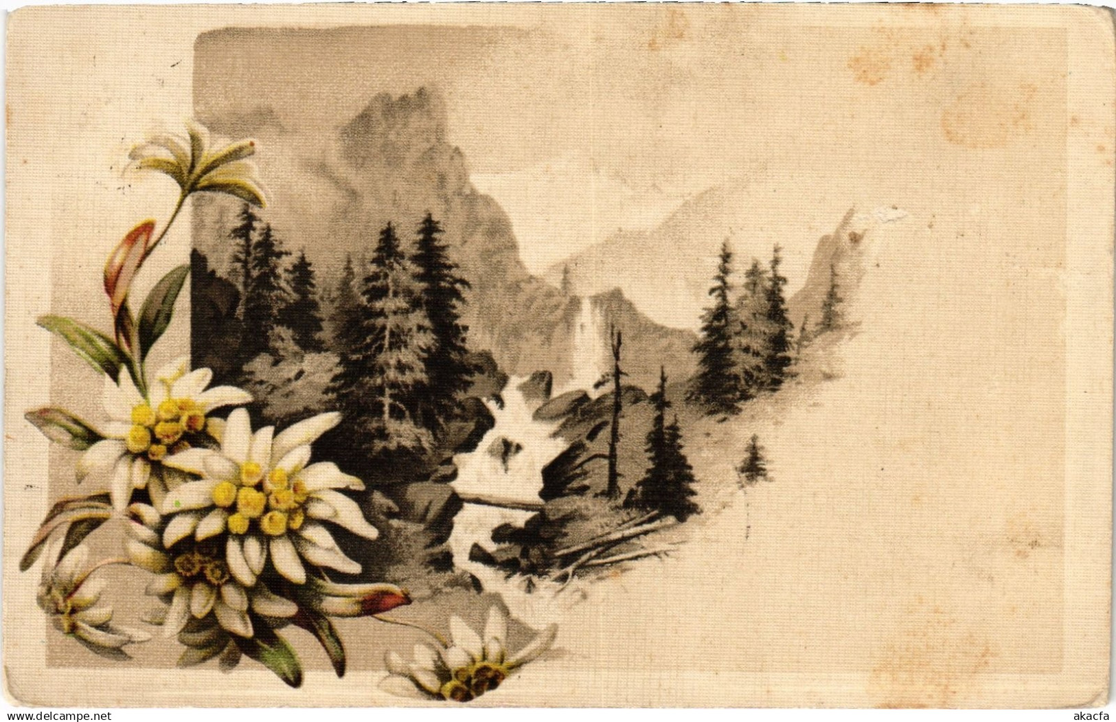 PC ESTONIA ART (a73595)