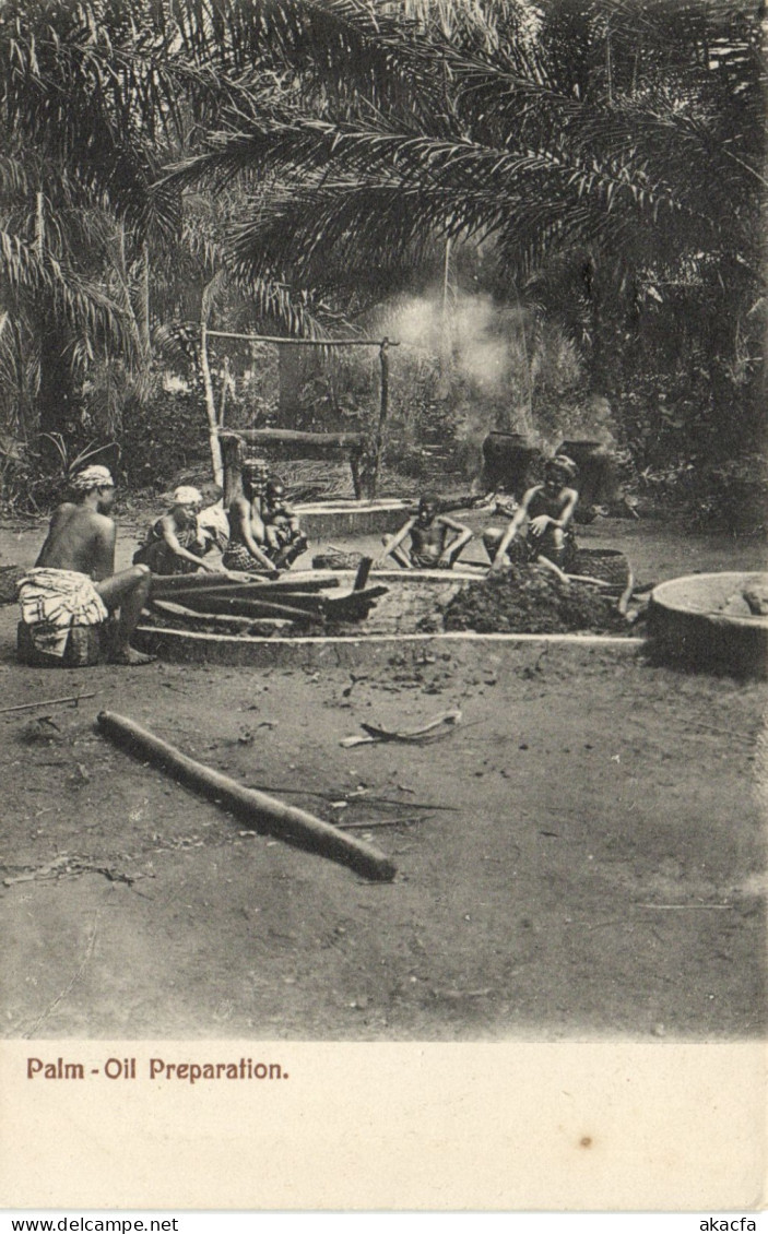 PC GHANA GOLD COAST PALM-OIL PREPARATION VINTAGE POSTCARD (b69237)