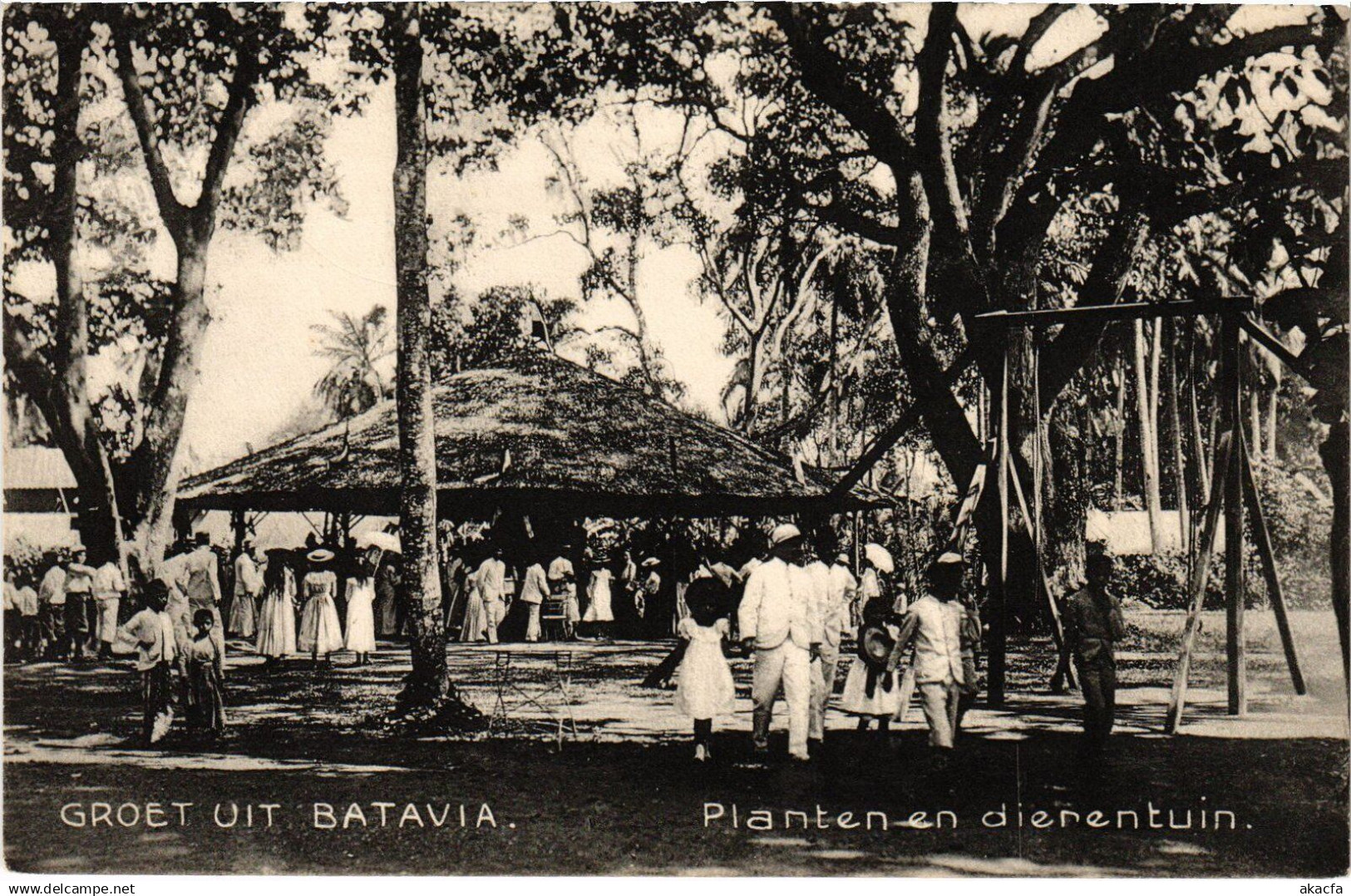 PC INDONESIA GROET UIT BATAVIA PLANTE EN DIERENTUIN (a65783)