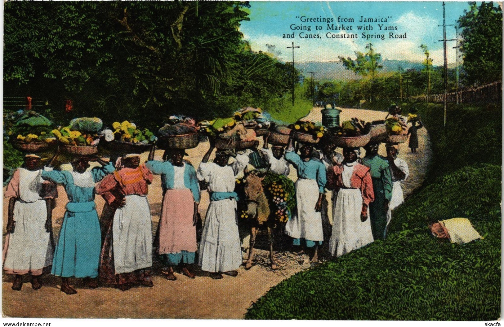 PC JAMAICA GREETINGS FROM JAMAICA (a79451)