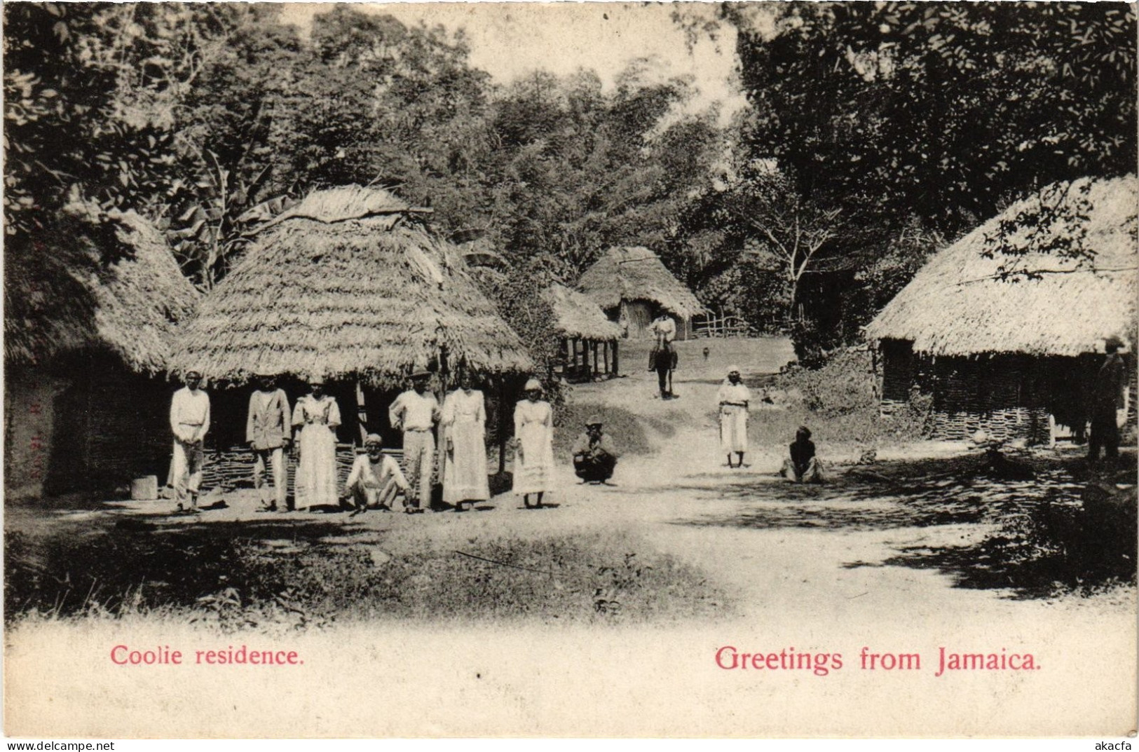 PC JAMAICA GREETINGS FROM JAMAICA. COOLIE RESIDENCE. (a79421)