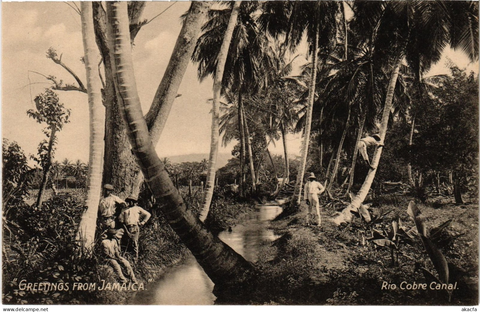 PC JAMAICA GREETINGS FROM JAMAICA - RIO COBRE CANAL (a79426)