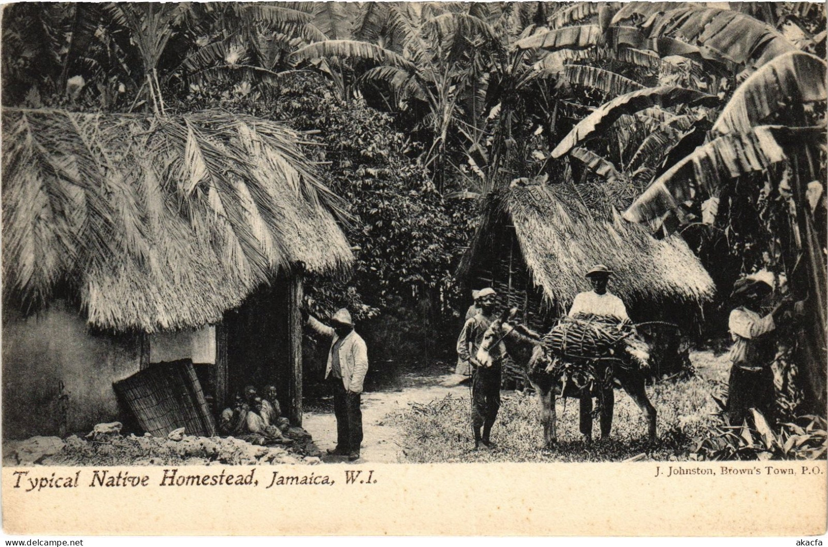 PC JAMAICA TYPICAL NATIVE HOMESTEAD, JAMAICA, W.I. (a79391)