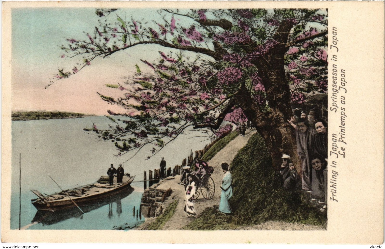 PC JAPAN CHERRY BLOSSOMS SPRING SEASON (a74544)