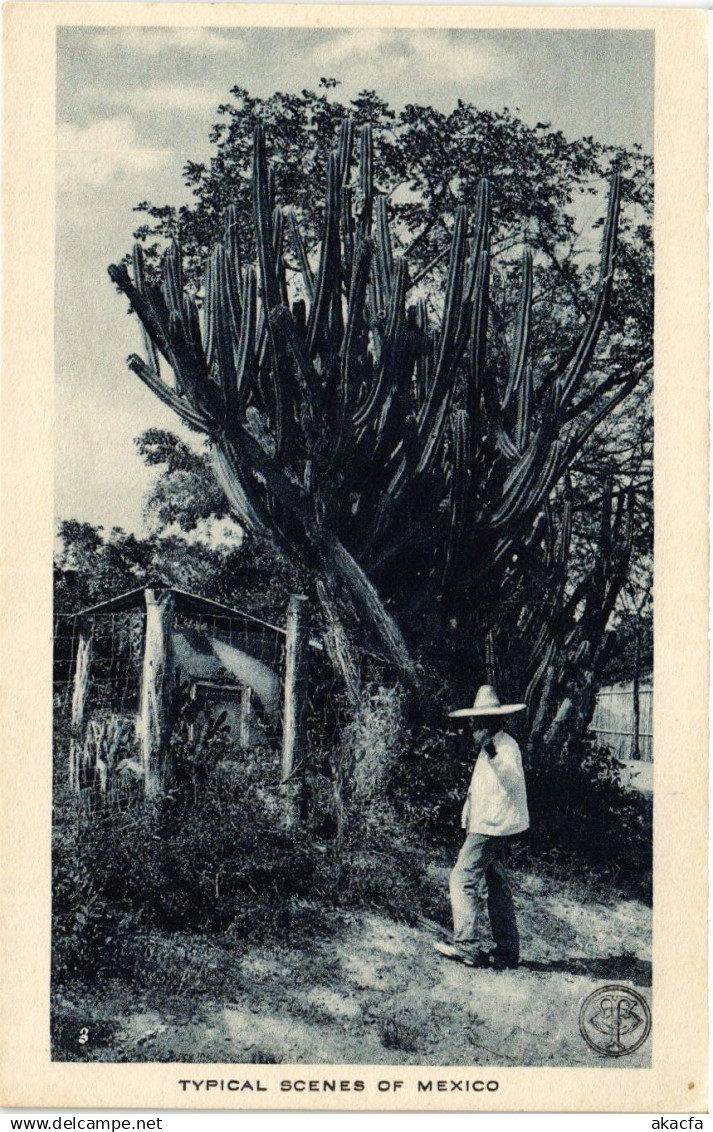 PC MEXICO, TYPICAL SCENES OF MEXICO, (b21963)
