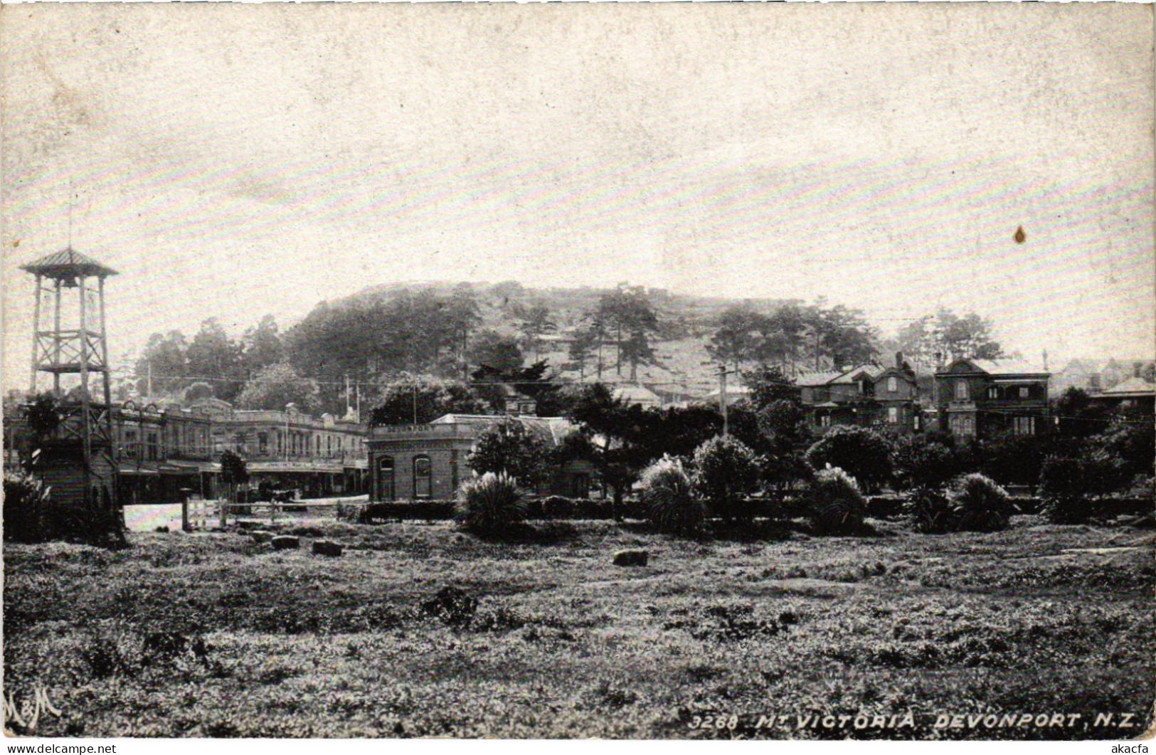PC NEW ZEALAND, DAVENPORT, MT. VICTORIA, Vintage Postcard (b65018)