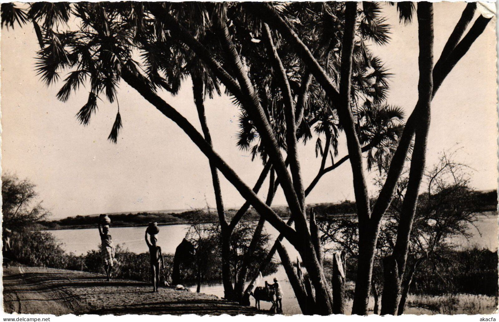 PC NIGER NIAMEY LES BORDS DU NIGER (a53523)